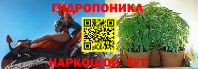 скорость Кингисепп