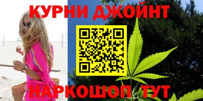 скорость Кингисепп