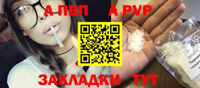 скорость Кингисепп